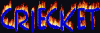 Criecket